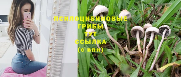 ECSTASY Лихославль